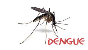 Se confirman dos casos de Dengue y uno de leptospirosis en María Grande