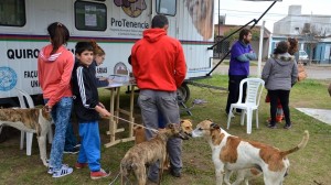 «Pro tenencia» el 27 de Junio en María Grande