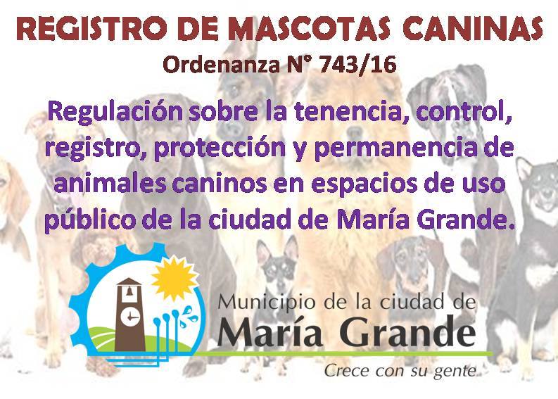 MARCO REGULATORIO PARA LA TENENCIA DE MASCOTAS CANINAS.