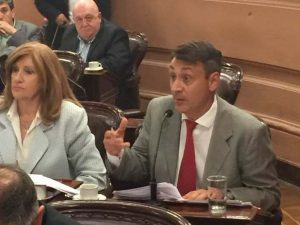 Sé aprobó en Diputados Proyecto de Ley de Licencia por violencia de genero impulsado por Lara