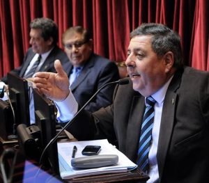 Ley de Humedales: Por 45 votos a 14 el proyecto volvió a comisión