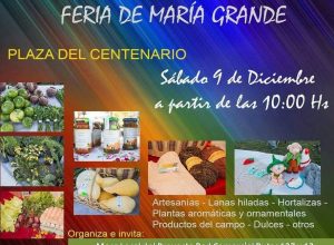 Feria de emprendedores el sábado 9 de Diciembre