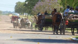 La marcha de carros «El Camino de los Abut» pasa este sábado por María Grande