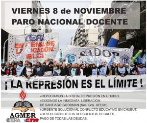 VIERNES 8 DE NOVIEMBRE: PARO NACIONAL DOCENTE