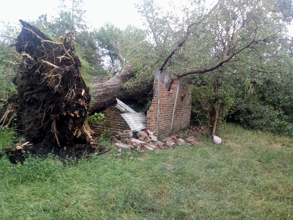 Granizo y fuertes vientos en la madrugada del sábado