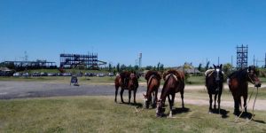 Cabalgatas en Interlagos