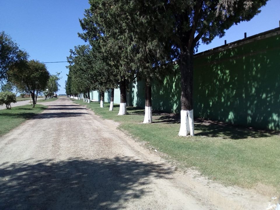 Debió cerrarse el cementerio local