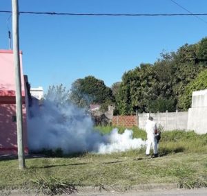 Nuevas fumigaciones tras conocerse otros casos de dengue