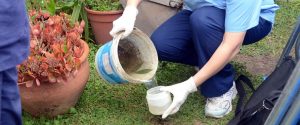 Continúan las acciones de prevención de dengue en la provincia