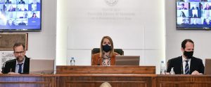 El Senado convirtió en ley la declaración de Emergencia Solidaria para Entre Ríos