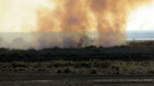 AGMER – No a la quema y destrucción de humedales