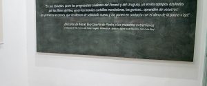 Continúa el ciclo de charlas virtuales del Museo Eva Perón