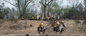 Brigadistas continúan trabajando en el combate del fuego en zonas de islas del Delta del Paraná