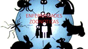 Diputadas y diputados abordaron el proyecto de prevención de enfermedades zoonóticas