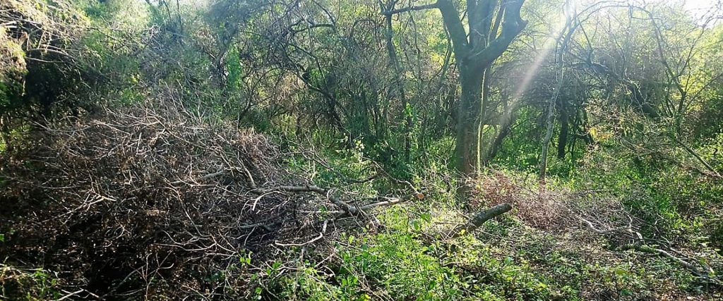 La Secretaría de Ambiente realizó inspecciones en el parque natural Sobrante S de Diamante