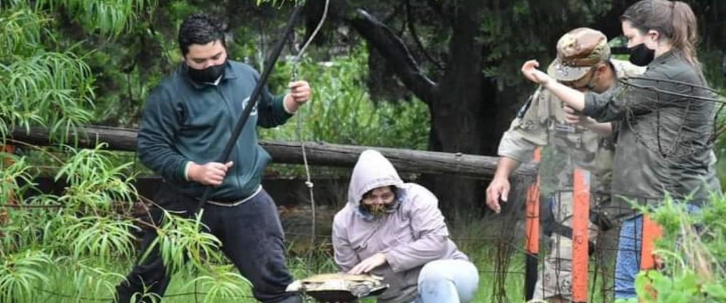 Rescataron y trasladaron 127 animales silvestres y nativos de un refugio de Paraná