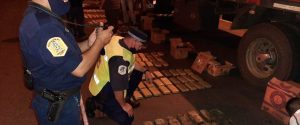 Se incautaron 448 kilos de cannabis sativa en menos de una semana en operativos Verano Seguro