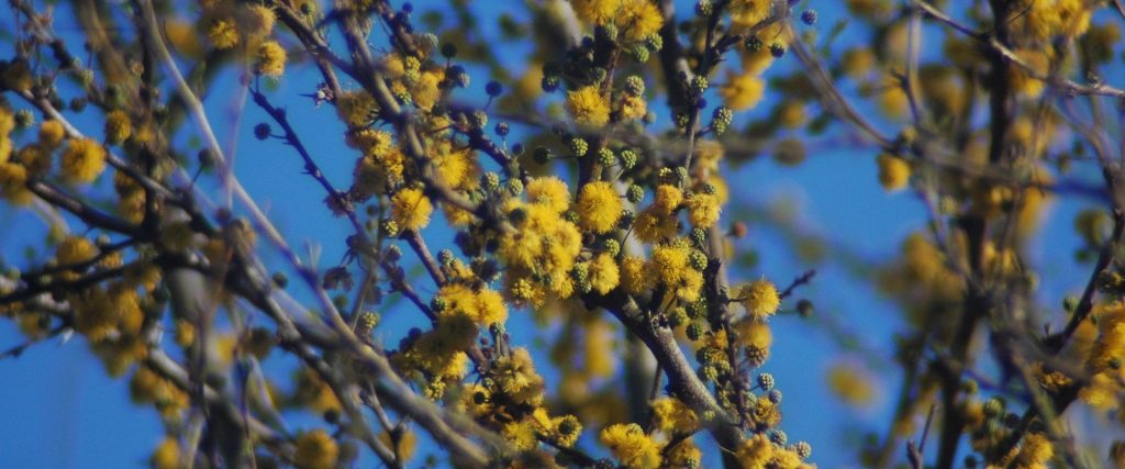 La provincia ratifica el compromiso con la educación ambiental y el cuidado del ambiente