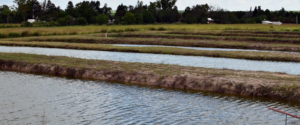 La provincia adhirió por ley al Régimen Nacional de promoción de la Acuicultura