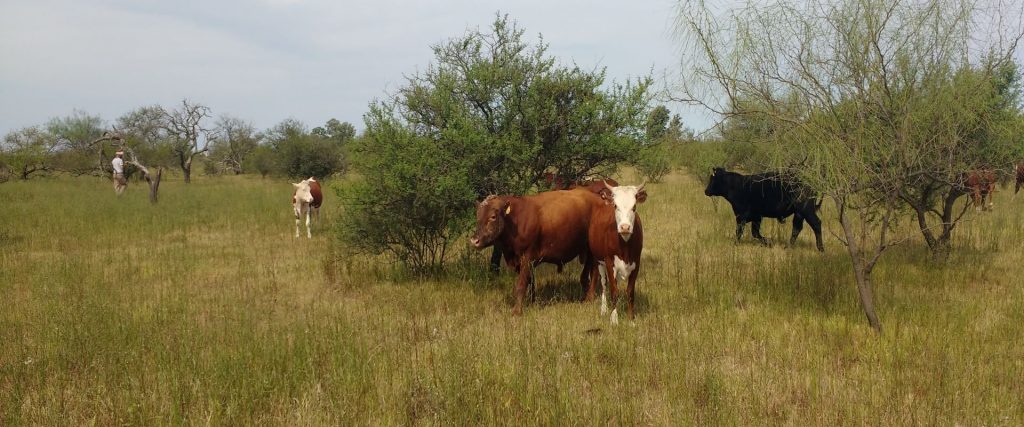 Más de 130 hectáreas de Gualeguay se sumaron al Sistema Provincial de Áreas Naturales Protegidas