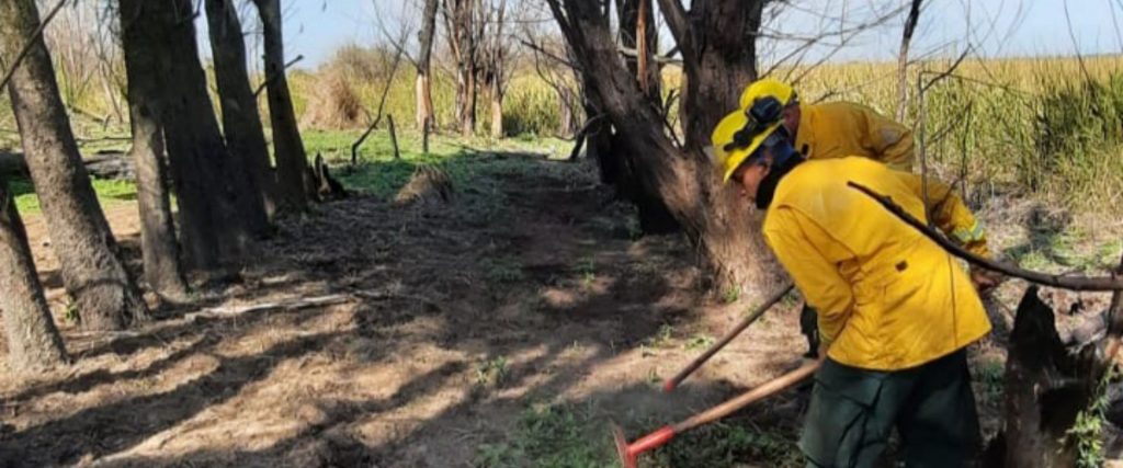 Continúan las tareas de combate del fuego en islas de Las Lechiguanas