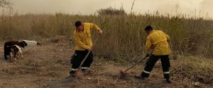 Con operativos instalados en Santa Fe y Buenos Aires, continúa el combate de incendios en el Delta