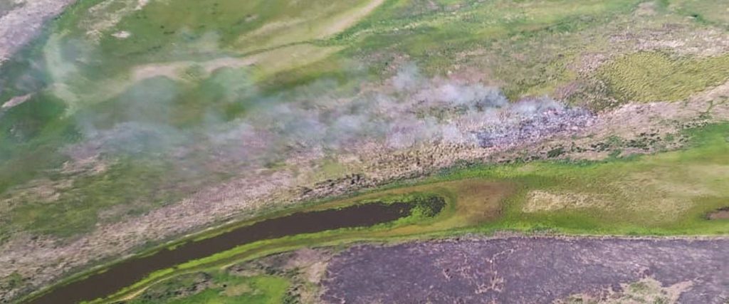 Monitorean la situación ante nuevos focos ígneos detectados en las islas del Delta