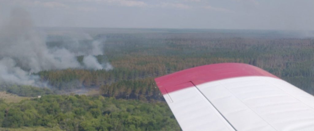 Trabajan en el combate del incendio frente al parque El Palmar