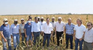 Sequía: Declararon la Emergencia Agropecuaria en Entre Ríos
