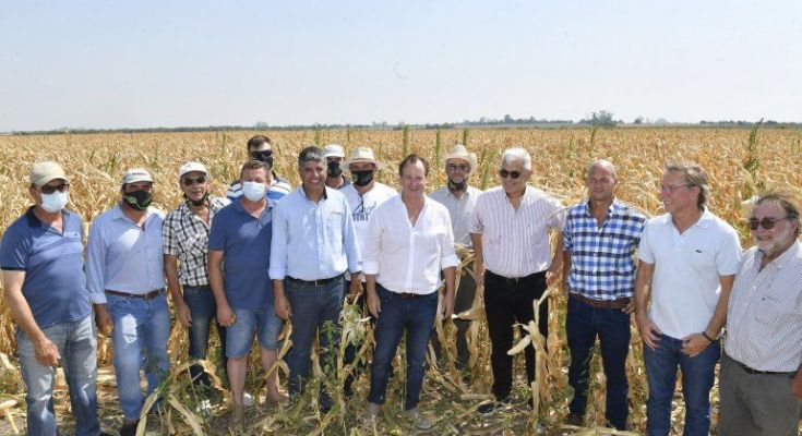 Sequía: Declararon la Emergencia Agropecuaria en Entre Ríos