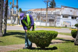 La semana próxima comienza el receso administrativo municipal