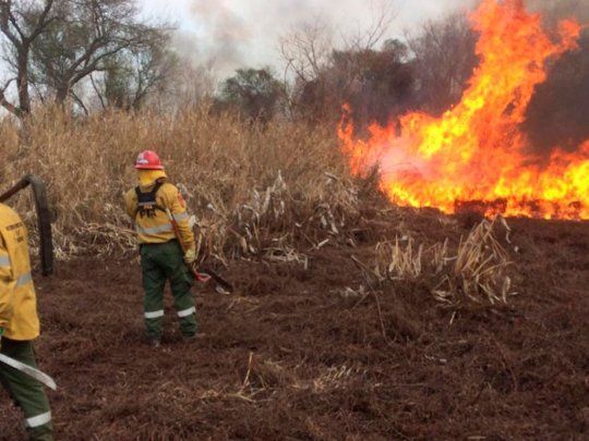 Bomberos Voluntarios María Grande lanzó bono contribución