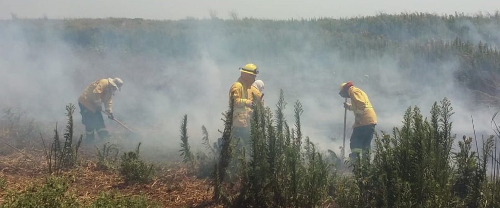 Se montó un operativo para combatir los nuevos focos de incendio registrados en islas del Delta