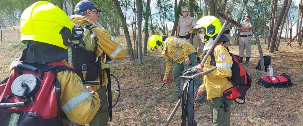 Trabajan intensamente para combatir los incendios en la isla Puente de Paraná