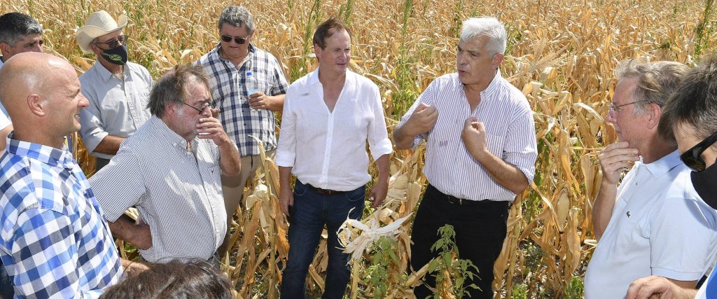 El gobierno entrerriano convocó a las entidades agropecuarias para evaluar medidas ante la sequía