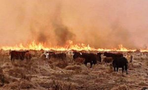 Productores agropecuarios de María Grande y zona, se solidarizan con sus pares de Corrientes