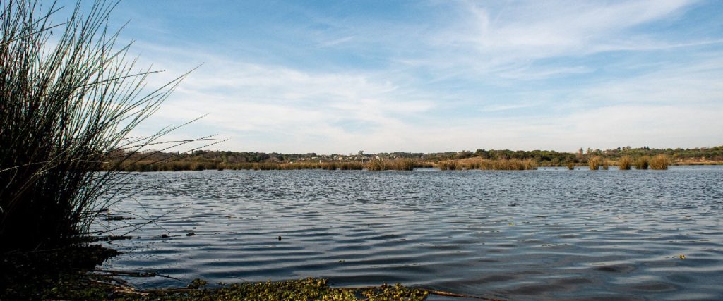 Invitan a una actividad este miércoles por el Día Mundial de los Humedales