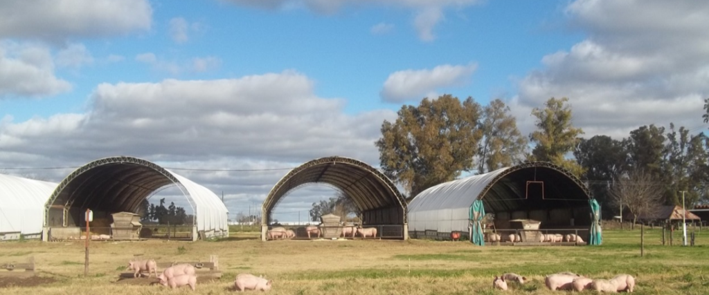 La provincia firmó un convenio con la UNER para fortalecer la actividad porcina