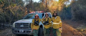 Brigadistas forestales de Entre Ríos colaboran en el combate de incendios en Corrientes y Misiones