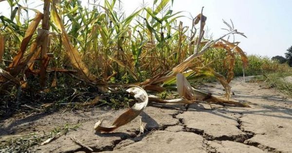 EMERGENCIA AGROPECUARIA – ESTE VIERNES 25 DE MARZO VENCIMIENTO DEL PLAZO PARA PRESENTAR LAS DECLARACIONES JURADAS