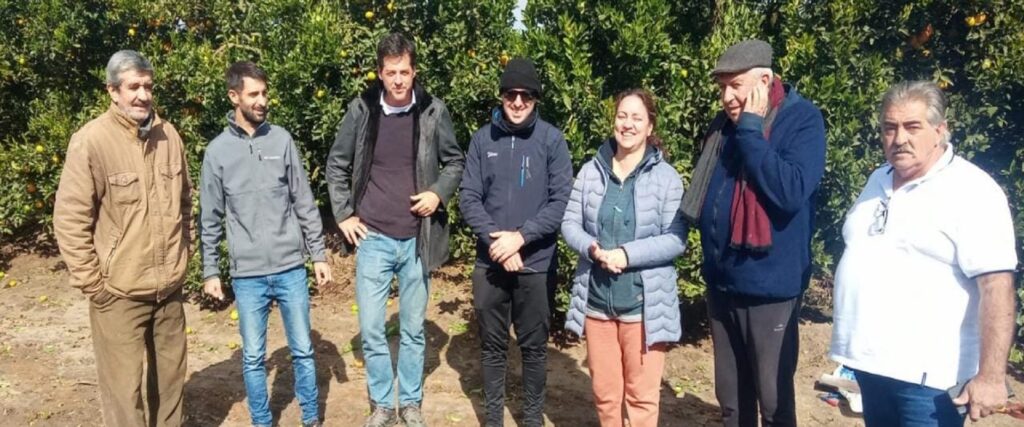 Cafesg avanza en la elaboración de fertilizantes naturales con residuos regionales