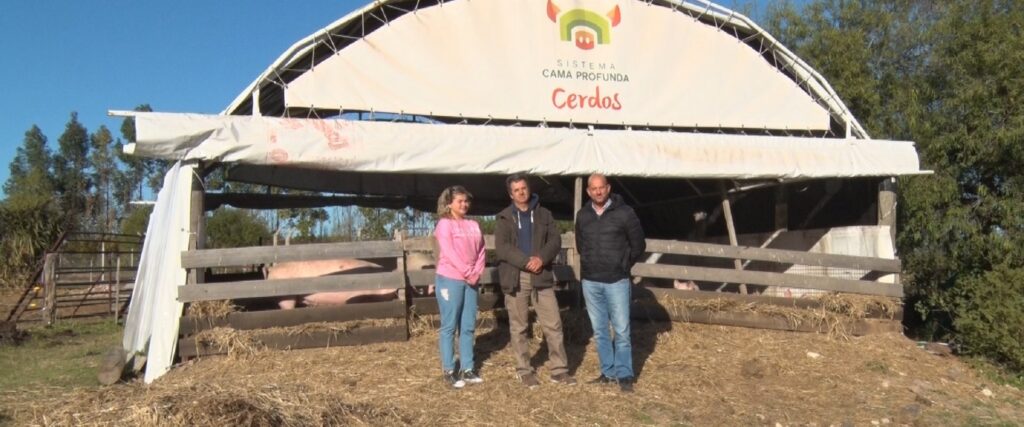 El gobierno entrerriano apoya una iniciativa académica para mejorar la producción porcina