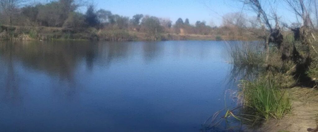 Trabajan en la generación de un corredor de protección ambiental sobre el arroyo Perucho Verna