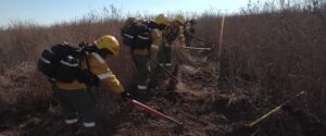 Continúa el trabajo de monitoreo y combate de incendios en islas del Delta
