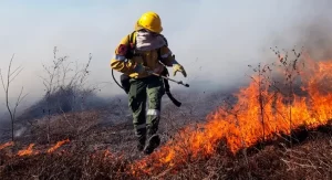 Ambiente de la Nación notificó a la Provincia sobre incendios detectados en la zona de las islas del delta