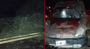 Chocó un árbol caído por el temporal y volcó