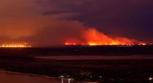 Ambientalistas se movilizaron por las quemas en el delta del Río Paraná