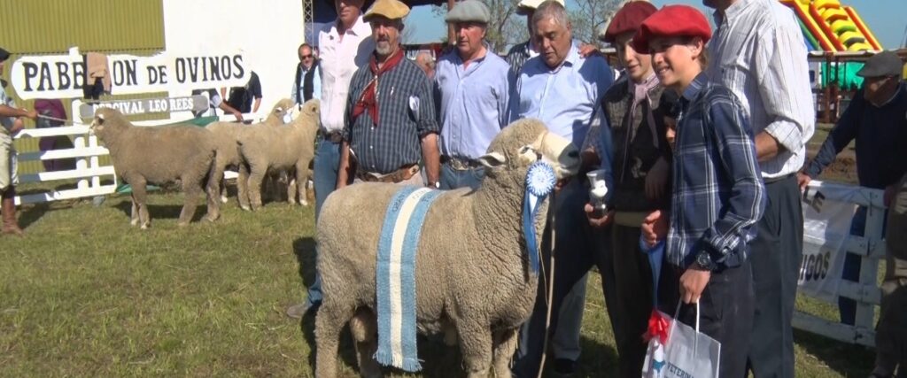 La producción ovina busca ofrecer carne todo el año