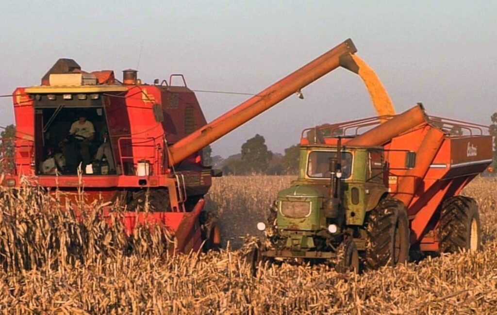 Más agricultores entrerrianos se suman al programa de compensaciones para maíz y soja