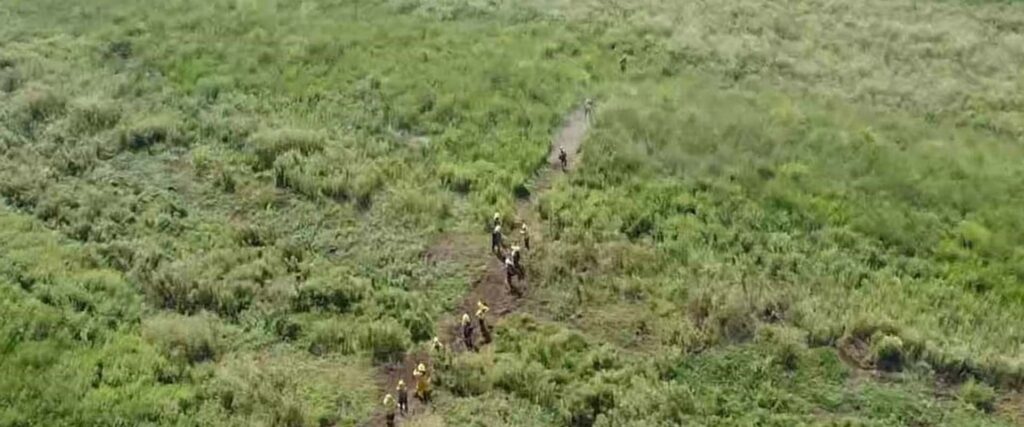 Brigadistas y bomberos de Entre Ríos y Buenos Aires combaten dos focos de incendios en islas del Delta